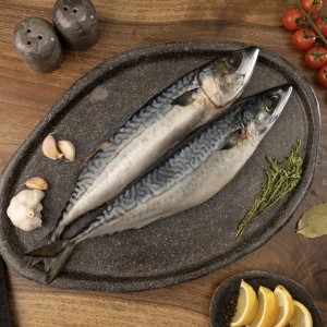 Скумбрия Атлантика